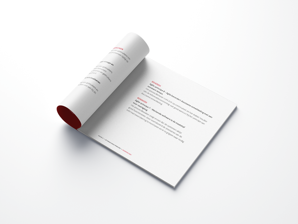 Redpaper Agile Functioneel Beheer